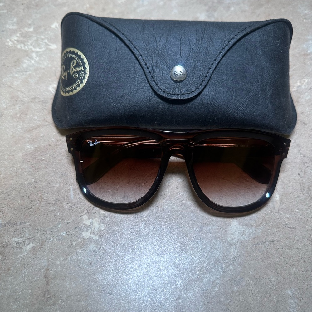 Ray-Ban Black and Brown Sunglasses Case